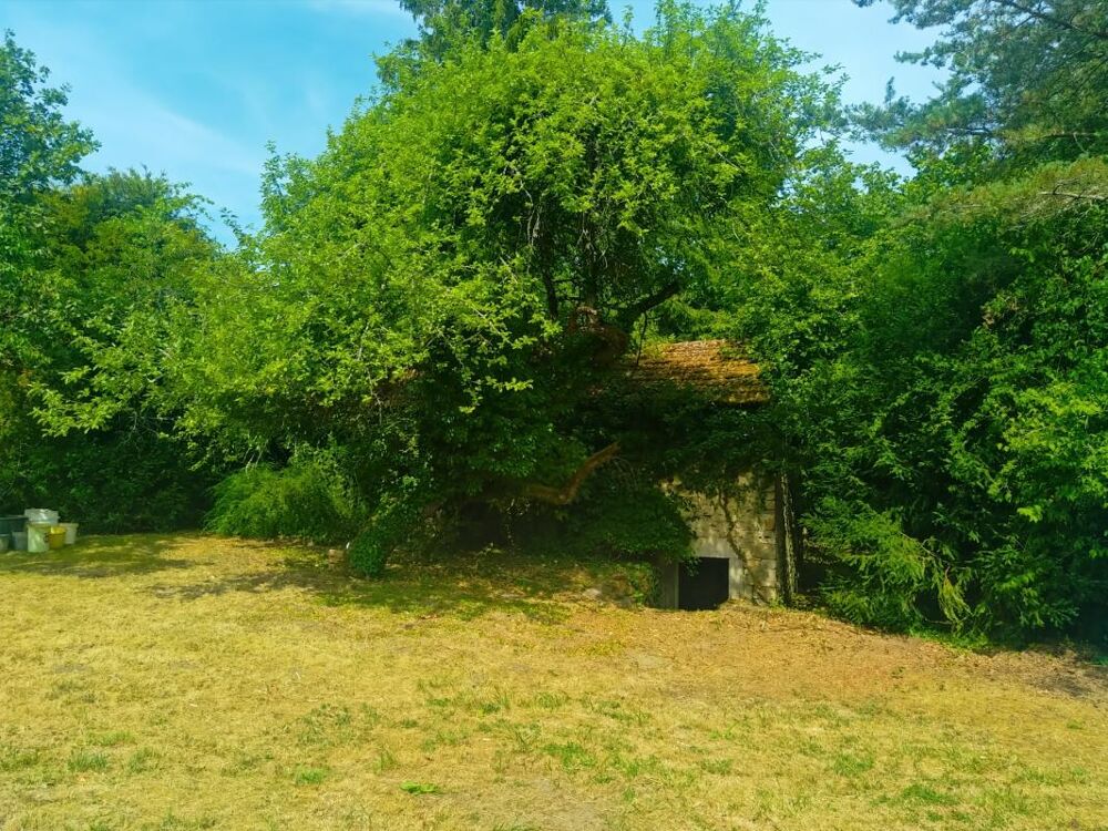 Maison avec son parc en bord de rivière