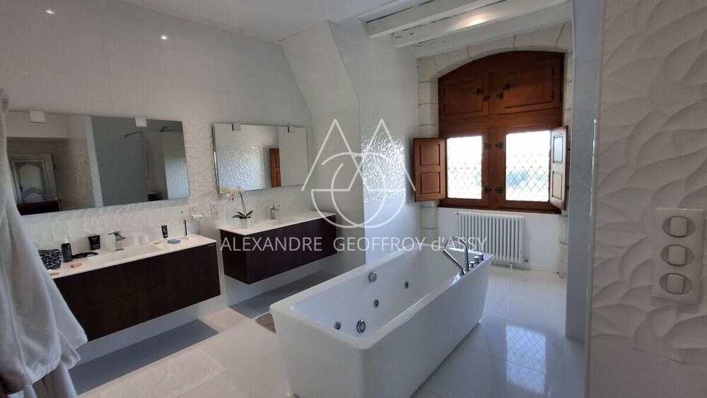 à vendre  Propriété/château Le Blanc (36300)