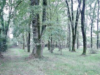  Propri�t�/ch�teau � vendre 15 + pi�ces 237 m�