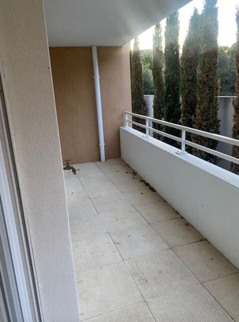  Appartement � louer 1 pi�ce 39 m�