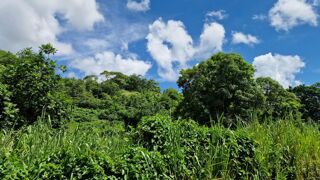  Terrain � vendre 697 m�