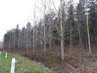  Terrain � vendre 17160 m�