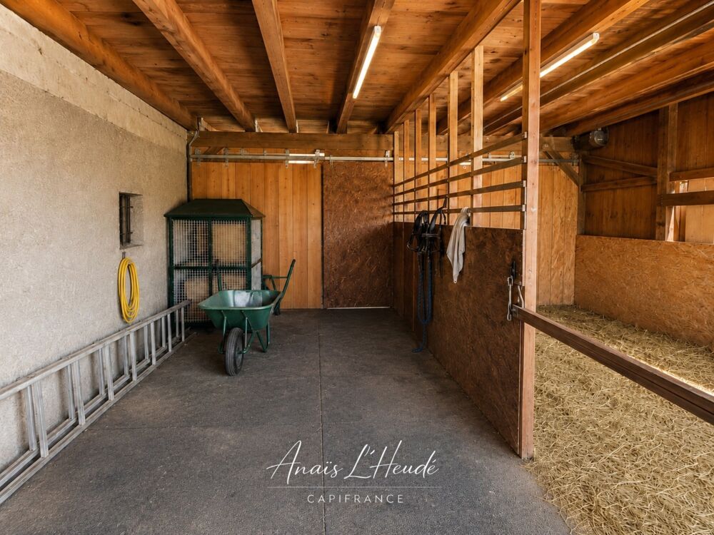 à vendre  Propriété/château Seyssel (74910)