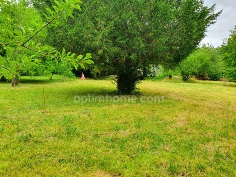 Vente Terrain BEAUCHAMP (95) - TERRAIN ARBORÉ AU CALME Beauchamp