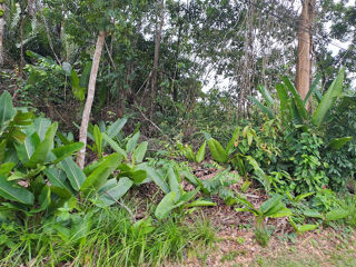  Terrain � vendre 3444 m�