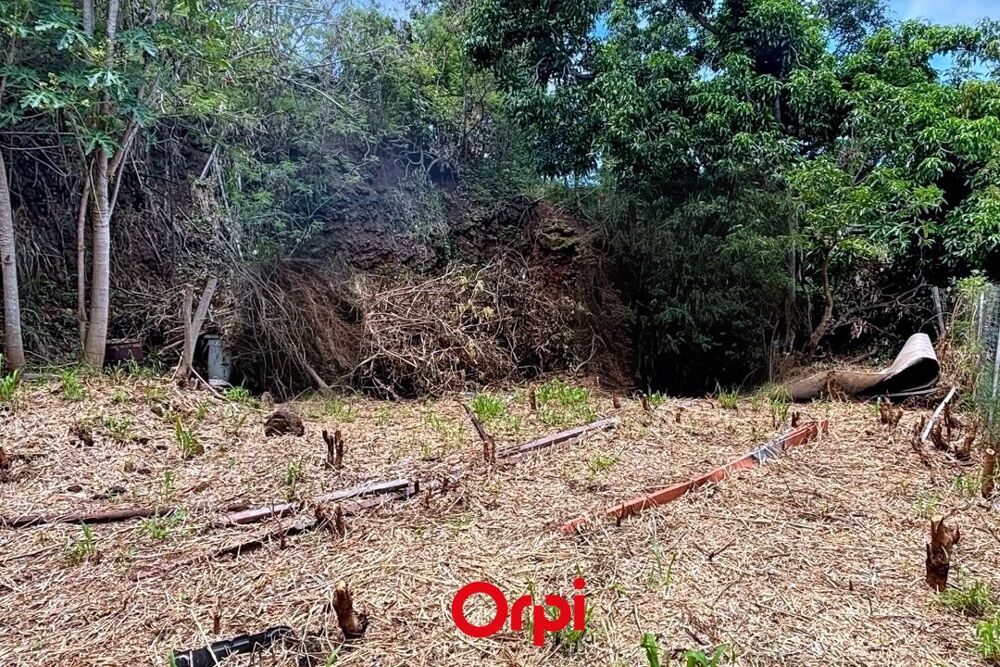 Vente Terrain ORPI SAINTE MARIE - Terrain constructible 733 m² à BEAUSEJOUR Sainte marie