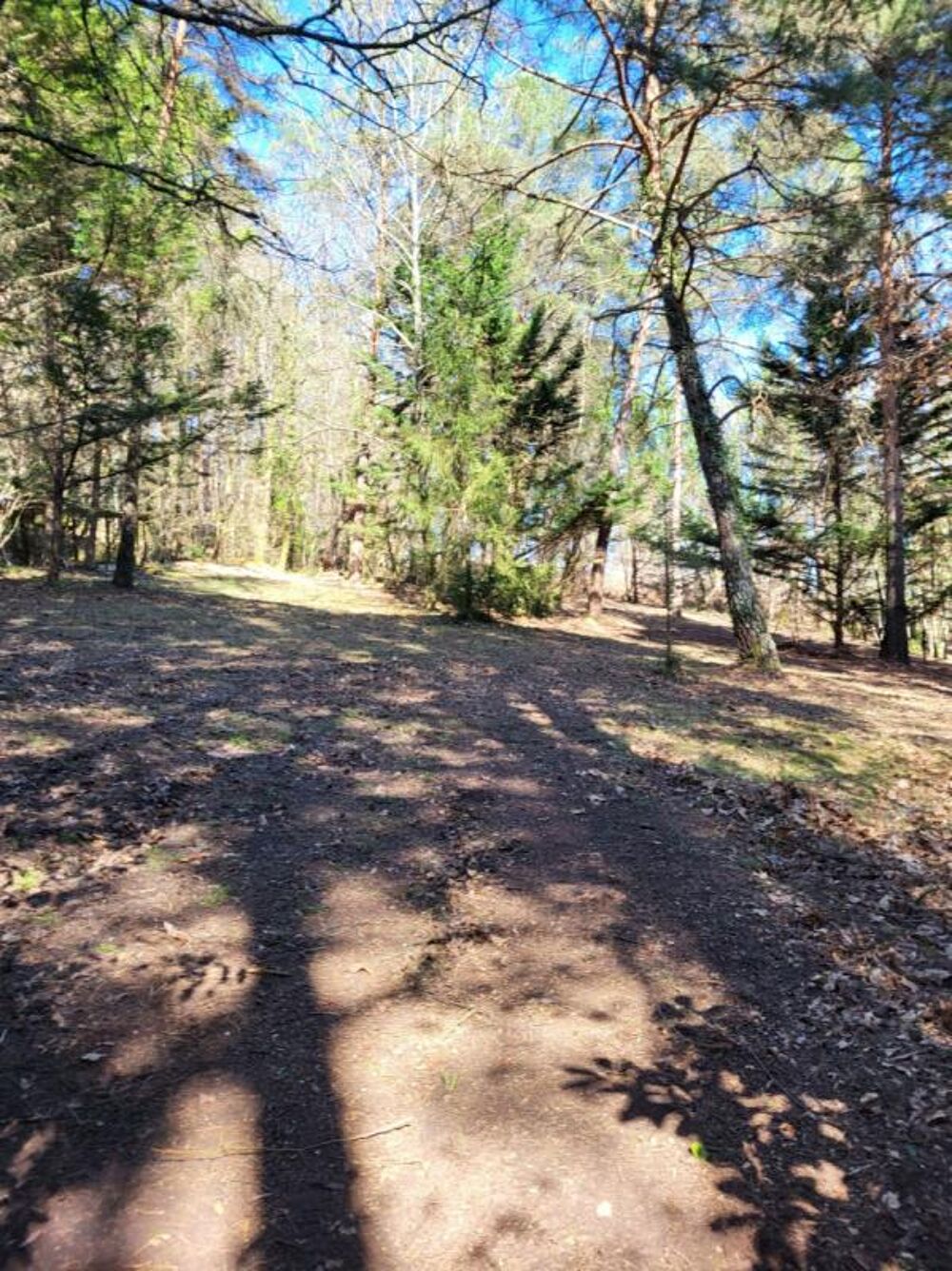 Vente Maison Maison 8 pièces 180 m2, parc de 8700 M2 avec dépendances Notre dame de sanilhac