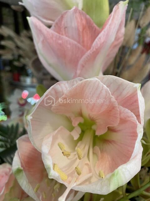 Fleuriste dans commune dynamique proche yvelines 135000 78550 Houdan