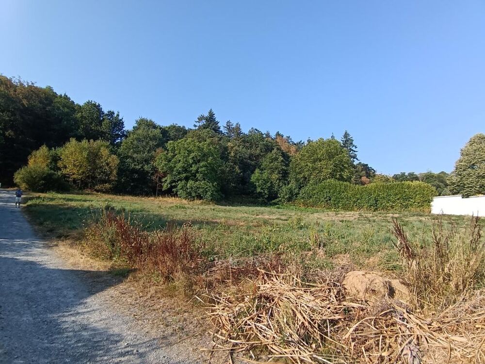 Vente Terrain Grand terrain de plus de 3 000 m2 avec vue sur le château de Josselin (Morbihan - Bretagne) Josselin