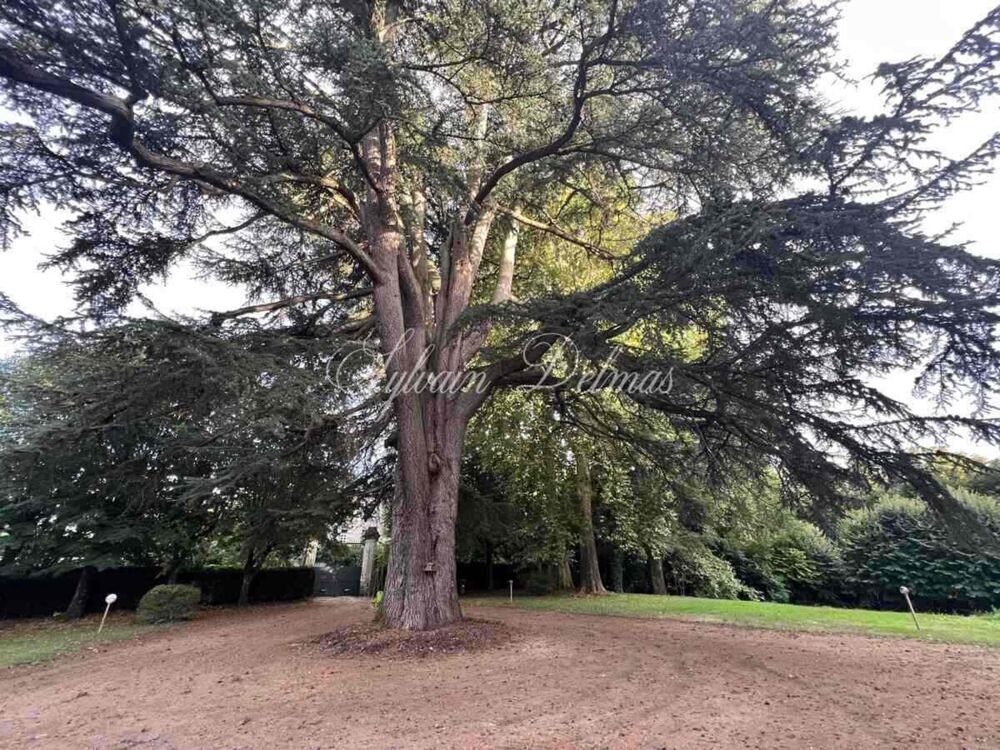 à vendre  Propriété/château Fondettes (37230)