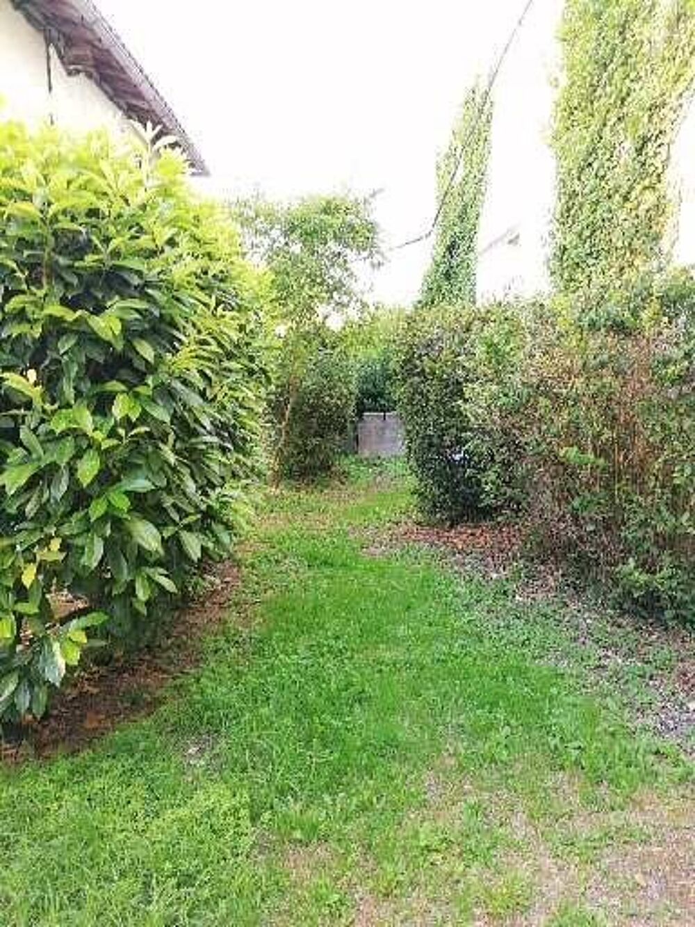 Maison de 38m2 à louer sur Angoulême