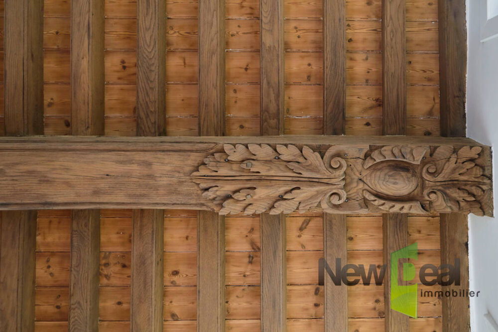 � vendre  Propri�t�/ch�teau Saint-Amand-les-Eaux (59230)