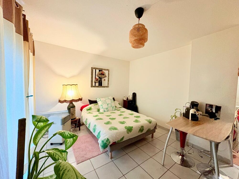 A VENDRE - CHARMANT STUDIO LOUÉ (24,3 m2 environ) - ROUTE DE SEYSSES - TOULOUSE - PARKING SS-SOL -
