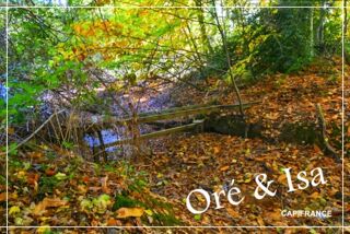  Terrain à vendre 49655 m²