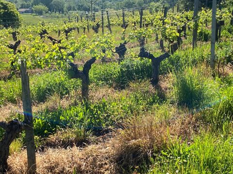 SECTEUR SAINT EMILION - PARCELLES DE VIGNES 0.69 Hectares 125850 33330 Saint emilion