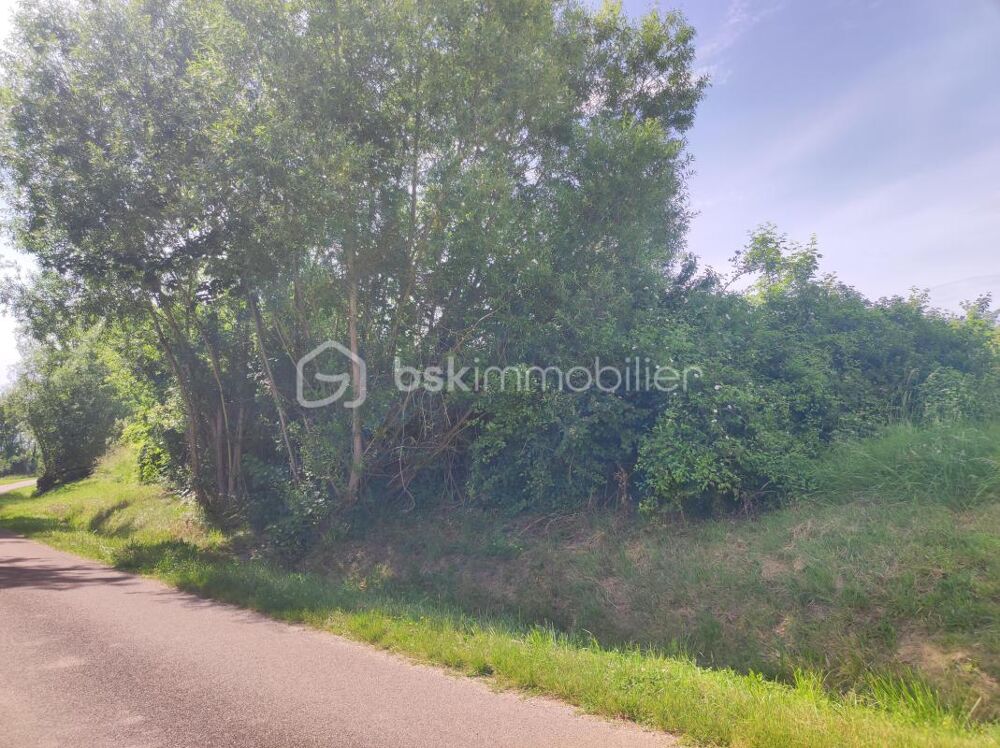 Vente Terrain ? Terrain constructible de 2 530 m² – Nature, calme et potentiel Saint florentin