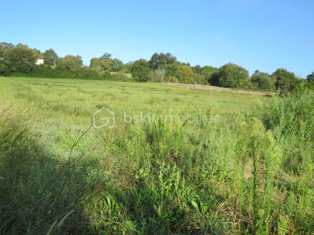 Vente Terrain Terrain constructible de 6038 m² au calme vue dominante Baliracq maumusson