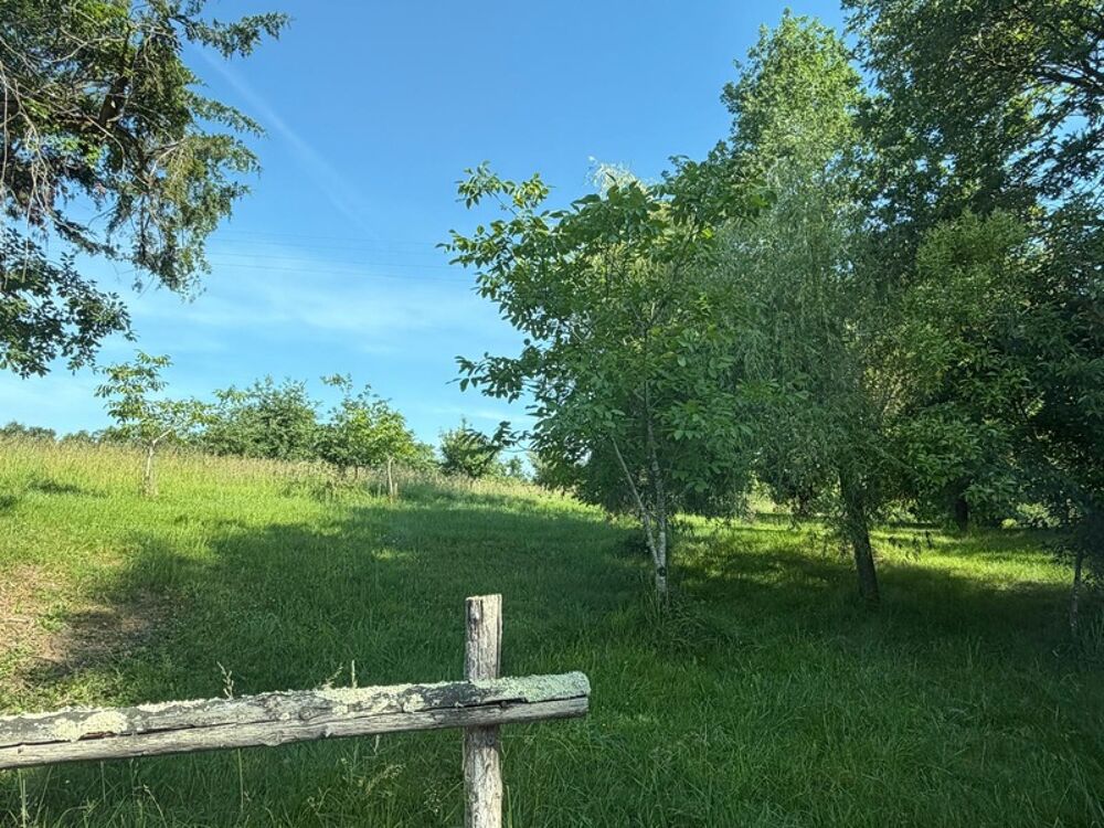Nogaro(32) 7 km, ANCIENNE METAIRIE GASCONNE 280m2 dont 160m2 habtiables sur 4.5ha, au bout d'un long chemin, CACHEE, SANS VIS A