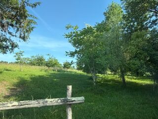  Propriété/château à vendre 7 pièces 300 m²