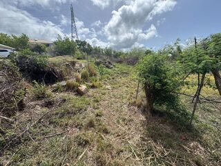  Terrain à vendre 1000 m²