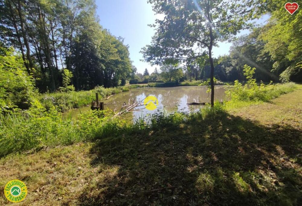 Vente Terrain Étangs à l'abris des regards ! Aubigny sur nere