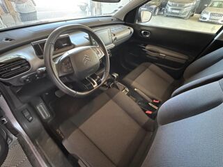 C4 cactus Shine 2019 occasion 56120 Les Forges De Lanouee