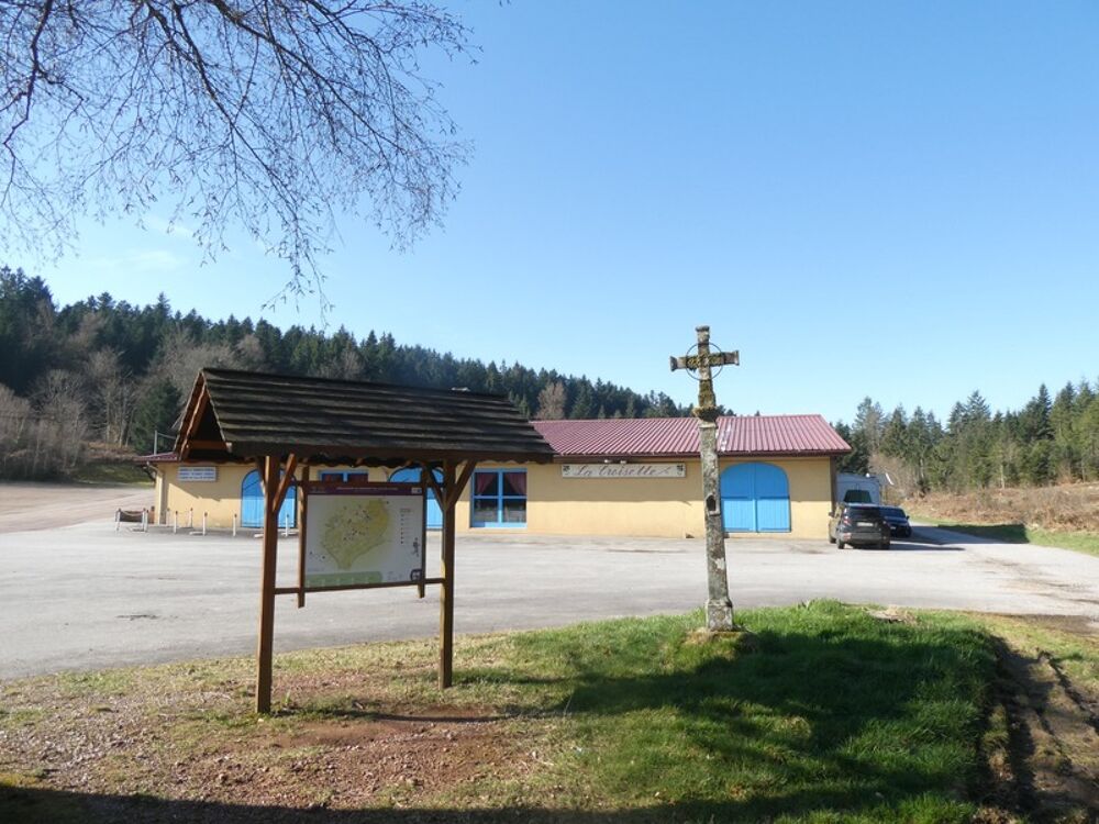 Vente Propriété/Château GIRMONT VAL D'AJOL (88) établissement à vendre de 3000m² au sol , mêlant dance et restauration.Terrain 25000m² Girmont val d ajol