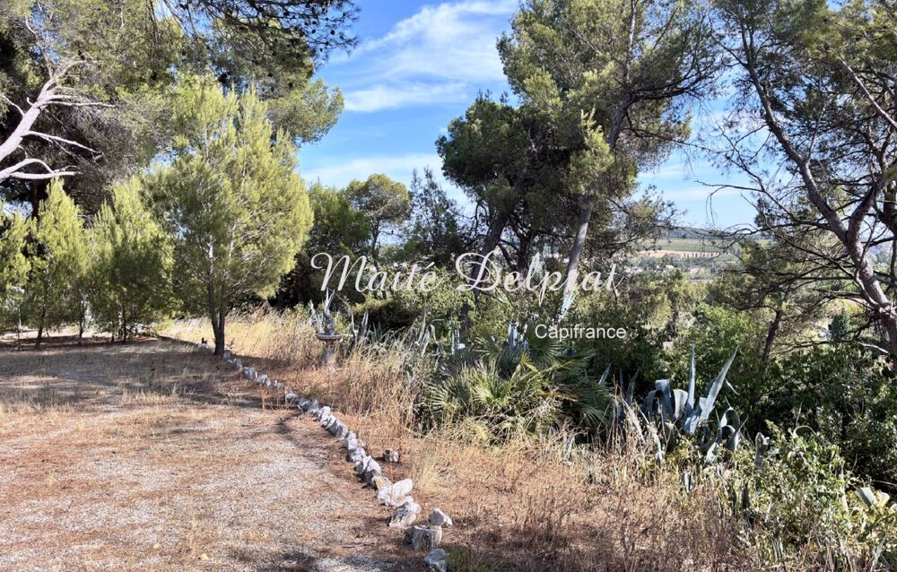 Vente Maison BÉDARRIDES – Maison à vendre 135 m² - piscine - 2 500 m² de terrain – 2 logements Bedarrides