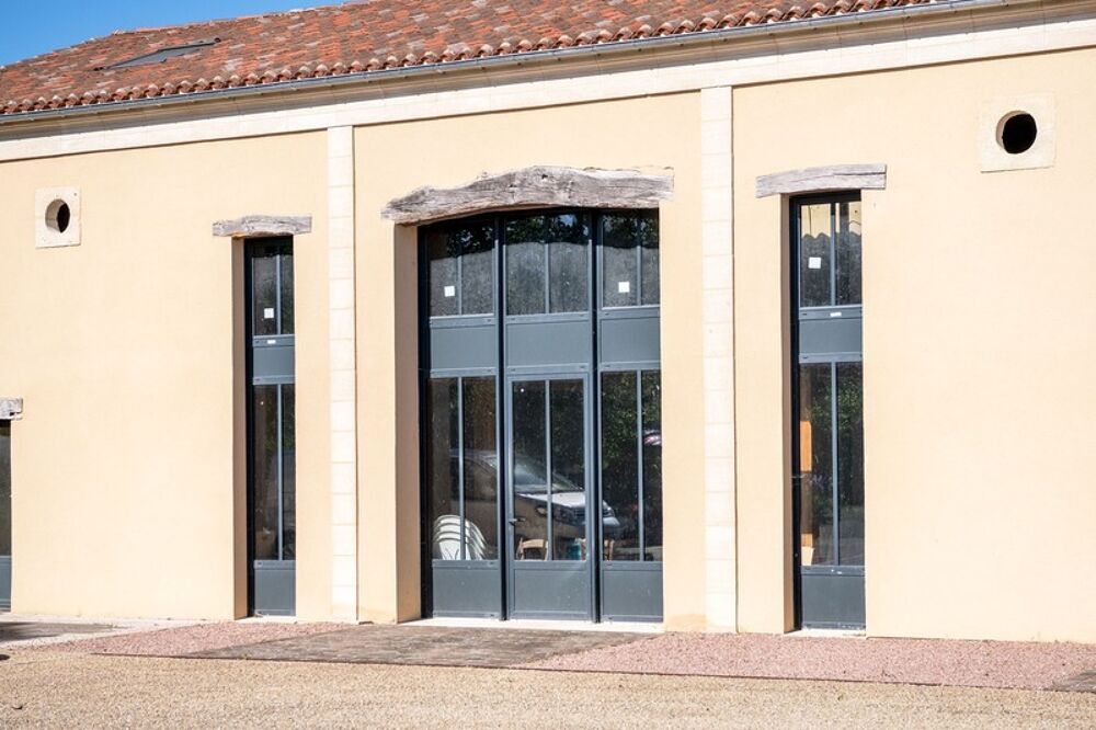  vendre  Proprit/chteau Mnesplet (24700)