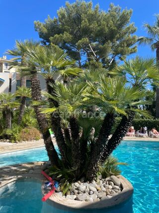  Appartement � vendre 3 pi�ces 83 m�