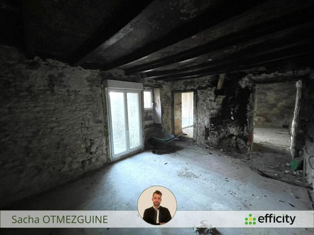 Vente Maison Maison Pleumartin