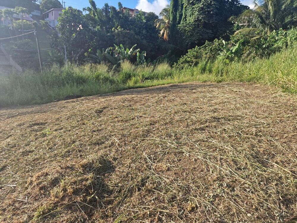 Vente Terrain Terrain-Schoelcher-Terreville Schoelcher