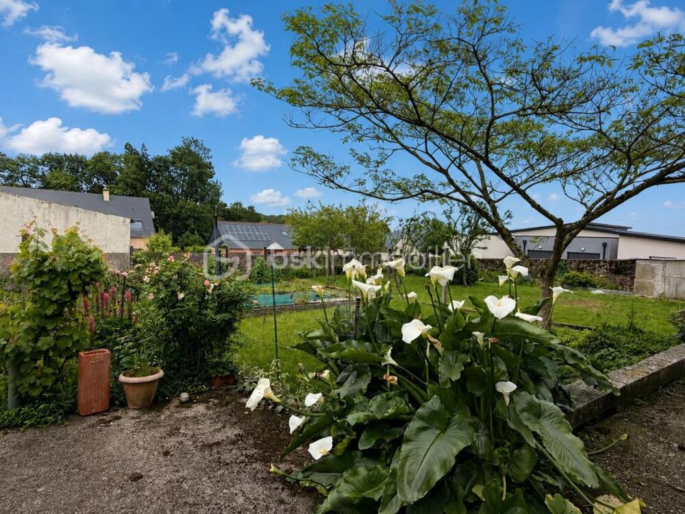 Vente Maison Maison de ville de 105m2 3 chambres Loiron