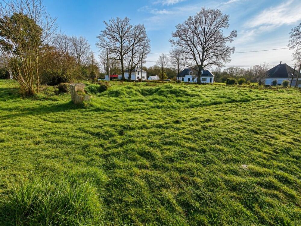 Vente Terrain Rare à la vente : Superbe parcelle de 770 m² à Pluméliau (56) Plumeliau