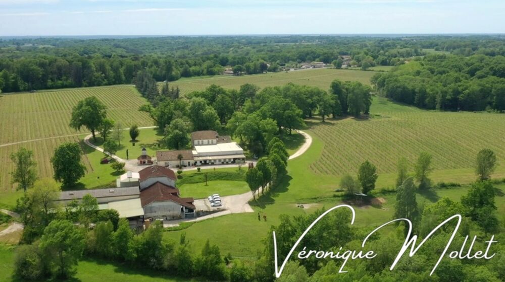Vente Propriété/Château DOMAINE A SADIRAC - ENTRE DEUX MERS -  A 16kms de BORDEAUX - 45 minutes aéroport Bordeaux Sadirac