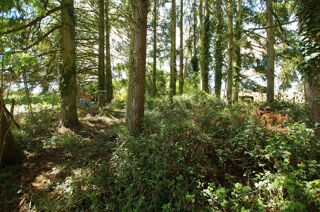  Terrain � vendre 2663 m�