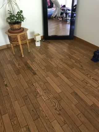 Appartement à louer 1 pièce 11 m²