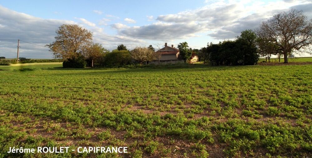 Vente Terrain Dpt Vienne (86),  vendre Champigny-En-Rochereau terrain - Terrain constructible de 1 550,00 m environ Champigny en rochereau