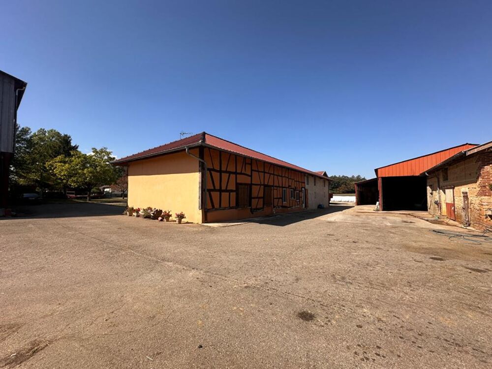 à vendre  Maison Bourg-en-Bresse (01000)