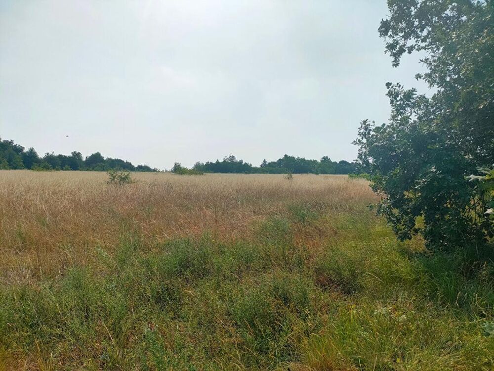 Vente Terrain TERRAIN AGRICOLE 5.60 HECTARES Sainte eulalie