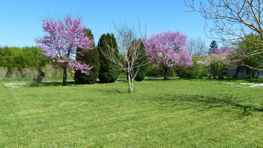 CHARENTE, COURCOME, maison 198 m², 4 chambres, grange, terrain 2401 m² clos