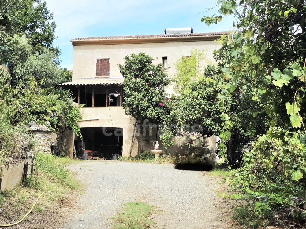 Vente Maison BORGO – Propriété à fort potentiel : 393 m² habitables + 2 980 m² de terrain – 395 000 € Borgo