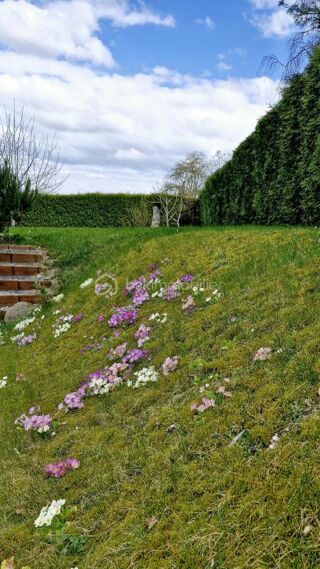  Maison � vendre 6 pi�ces 146 m�