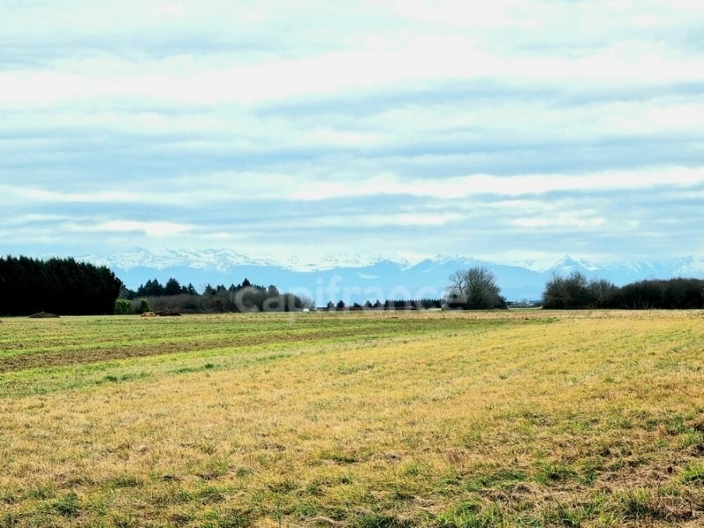 Vente Terrain Dpt  (65),  vendre  Bordres-sur-echez, terrain constructible - Terrain de 4150m Borderes sur l echez