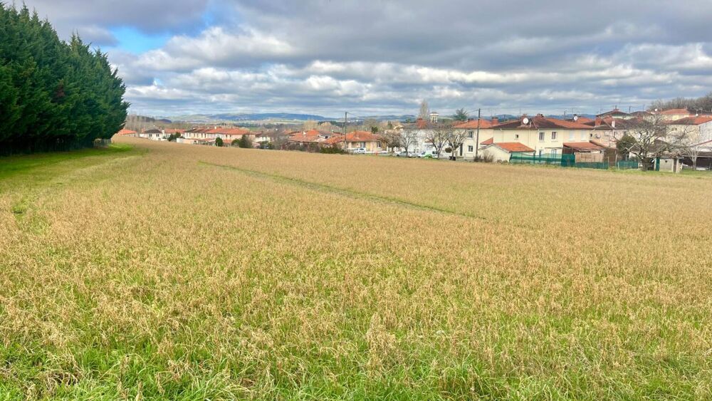 Vente Terrain Terrain Saint Benoit De Carmaux 16000 m2 Saint benoit de carmaux