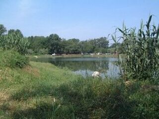  Terrain  vendre 