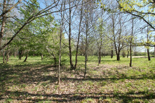  Terrain � vendre 1050 m�