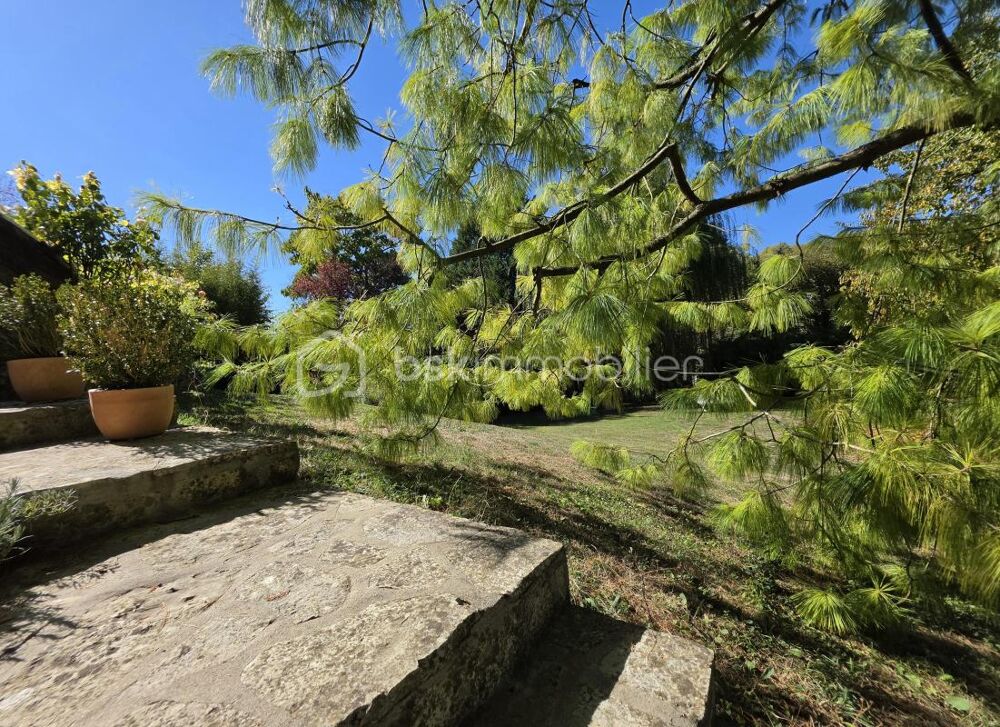 à vendre  Maison Maule (78580)