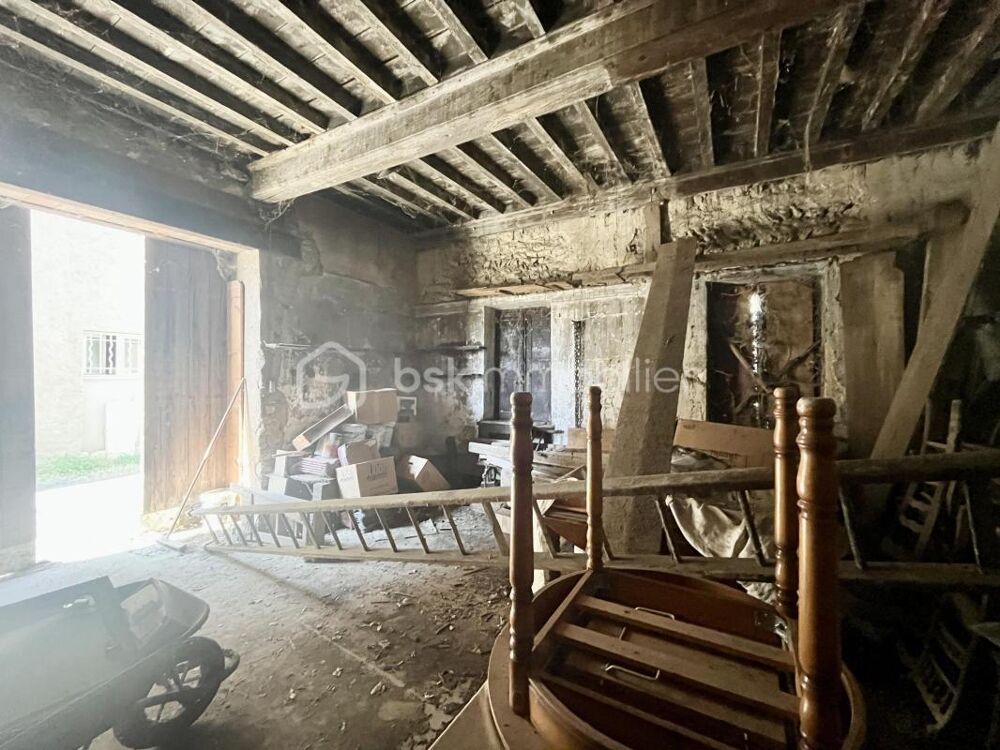 Vente Maison Maison en pierre à rénover avec jardin – Une belle opportunité au cœur de Saint-Didier-de-Formans Saint didier de formans