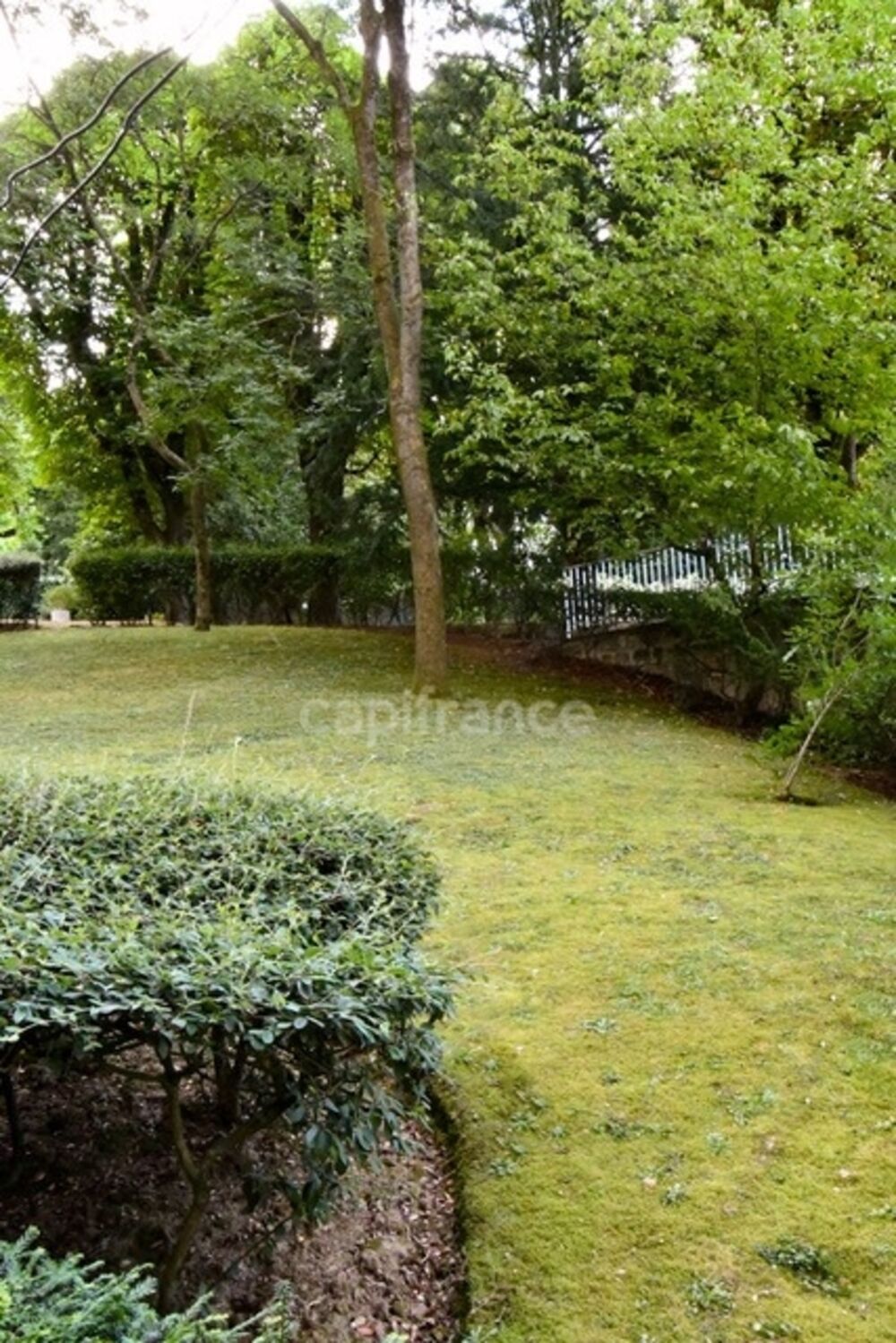 Vente Appartement Appartement à vendre Studio SAINT CLOUD (92) Saint cloud